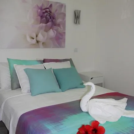 Apartment Solymar Olas